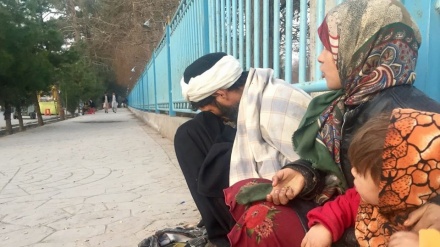 شمار روز افزون گدایان در هرات نگران‌کننده است