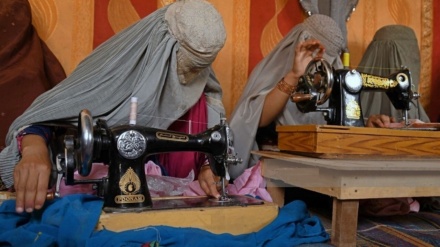 صدور جواز کسب برای نزدیک به ۳۰ هزار زن در افغانستان