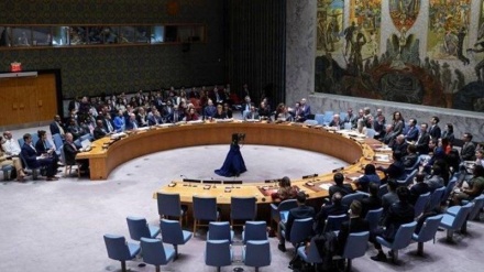 Komiteti i Këshillit të Sigurimit nuk arriti një konsensus për anëtarësimin e plotë të Palestinës në Kombet e Bashkuara