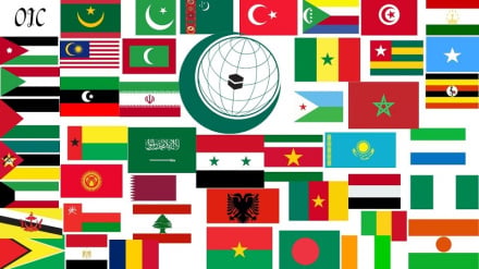 OIC yaunga mkono azimio la Umoja wa Mataifa la kukomesha kuikalia kwa mabavu Palestina