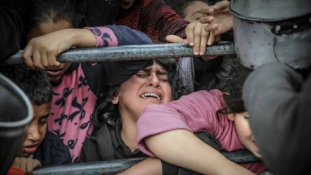 Գազայի հատվածում պաղեստինցի երեխաները սովամահ են լինում