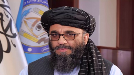 درخواست والی پنجشیر از مخالفان طالبان برای برگشت به افغانستان