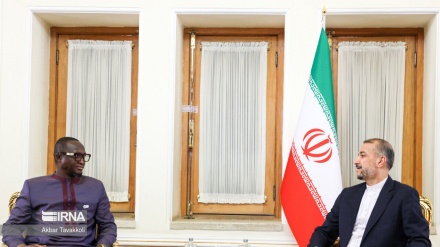 Амир-Абдуллахиан: Всестороннее развитие отношений с африканским континентом является одним из приоритетов Ирана