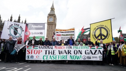 Британцы митингуют в поддержку жителей сектора Газа