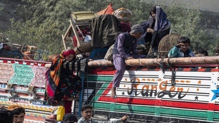بیش از هفت هزار مهاجر افغانستانی طی ۱۰ روز گذشته از پاکستان اخراج شدند