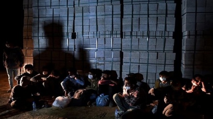 ادامه روند بازداشت پناهجویان افغان در ترکیه
