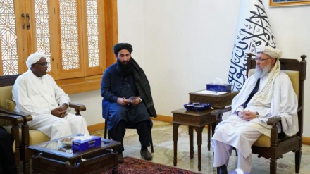 حنفی: افغانستان از مرحله جنگ به حکومت‌داری گام نهاده است