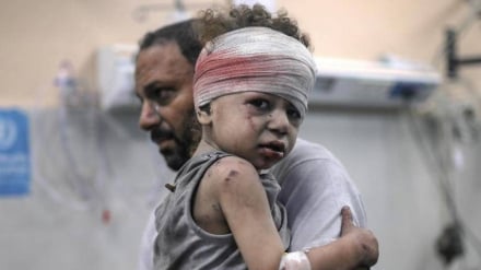 Gaza: Gesamtstatistik der Opfer und Kriegsschäden nach 175 Tagen israelischer Angriffe