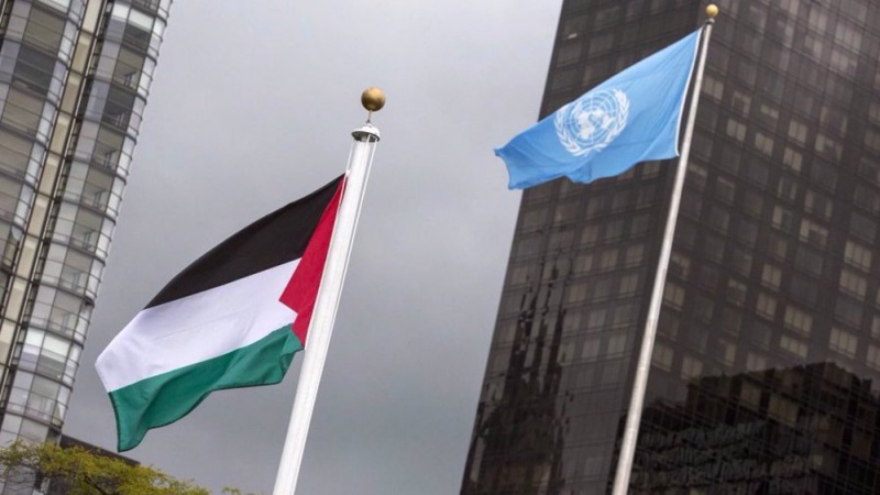 Le Conseil de sécurité se prononce sur l'adhésion palestinienne à l'ONU