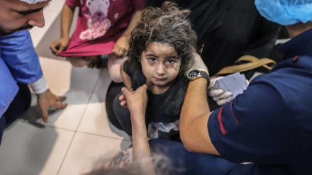 Martirizohen shtatë palestinezë në bombardimet në jug të Gazës
