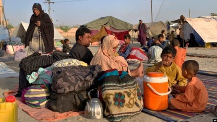 سازمان ملل خواستار حمایت جوامع بین‌المللی از مهاجران افغانستانی شد