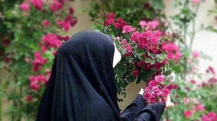 Muslim Lady (751)