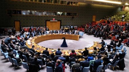 Këshilli i Sigurimit këtë muaj do të shqyrtojë anëtarësimin e plotë të Palestinës në Kombet e Bashkuara