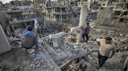 Заявление Совета Безопасности ООН по поводу убийств и голода в секторе Газа