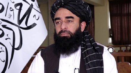 مجاهد: شناسایی رسمی حکومت، حق طالبان است