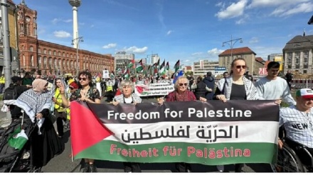 Продолжающиеся демонстрации сторонников Палестины по всему миру