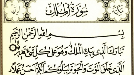  Quran Quest (425)