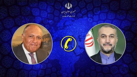 שר החוץ אמיר עבדולהיאן דן עם מקבילו המצרי בהתפתחויות האחרונות בעזה