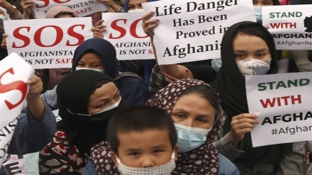 اعتراض پناهجویان افغان در اندونزی؛ بلاتکلیف و سرگردانیم