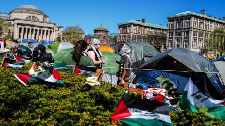 Protesta mbarëkombëtare në universitetet amerikane në mbështetje të Gazës/Universiteti i Kolumbias afatizon studentët