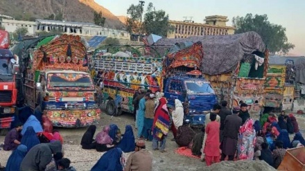 عفو بین الملل: پاکستان اخراج مهاجران افغان را متوقف کند