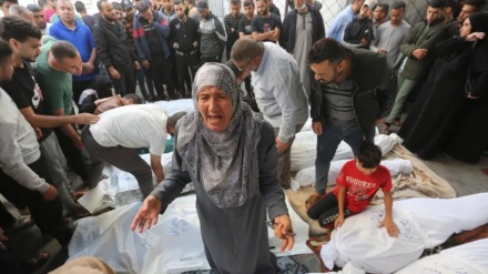 Vazhdojnë krimet izraelite në Rripin e Gazës dhe Bregun Perëndimor