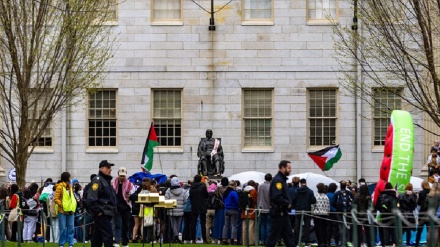 Водружение палестинского флага в Гарвардском университете