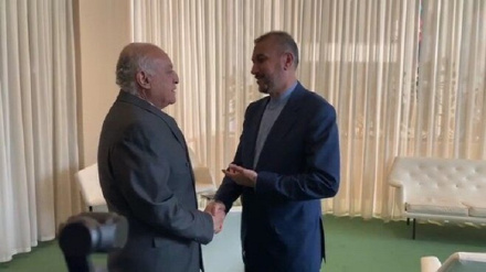 Əmir Abdullahian Qəzzada İsrailin soyqırımının dayandırılmasında Əlcəzairin rolunu yüksək qiymətləndirib 