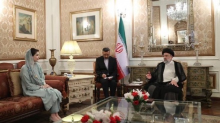 Президент Ирана: Воля глав Ирана и Пакистана заключается в расширении двустороннего сотрудничества 
