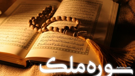  Quran Quest (424)