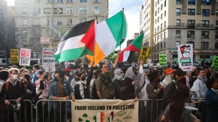 Вызов в суд студентов Нью-Йоркского университета за поддержку населения сектора Газа