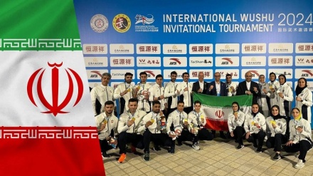 Iran crowns champion with 20 medals at Wushu World Cup qualifiers in China