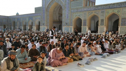 تدابیر امنیتی عید فطر در هرات و برپایی آیین‌های عیدانه در امنیت کامل