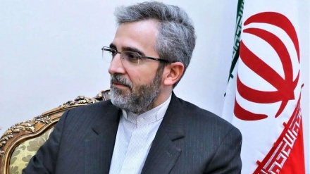 Исполняющий обязанности министра иностранных дел Ирана: Отношения Ирана со всеми исламскими странами развиваются