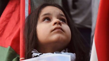 Краткий взгляд на статистику населения Палестины с момента установления израильского режима