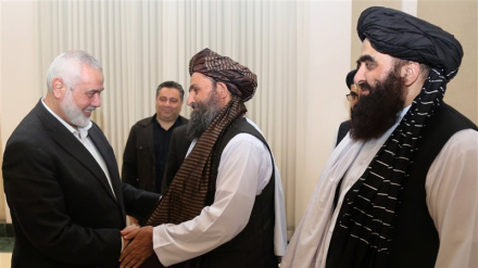 افغانستان  د فلسطین  د مظلوم ولس بشپړ ملاتړ کوي