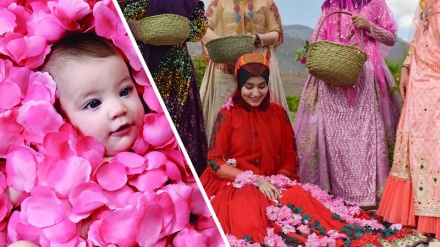 Menengok Proses Penyulingan Bunga Mawar di Iran