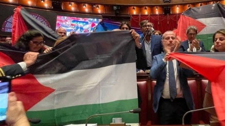 Размахивание палестинским флагом в итальянском парламенте