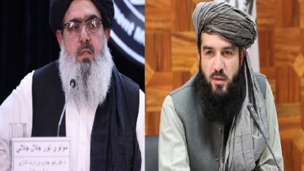 رهبر طالبان قلندر عباد را از وزارت صحت عامه را برکنار کرد