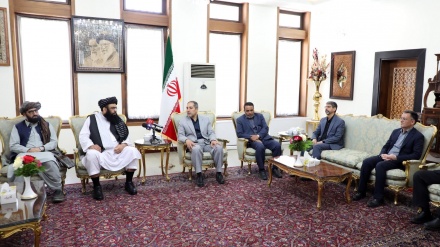 عبدالکبیر: شهید رئیسی روابط خوبی با حکومت طالبان برقرار کرده بود
