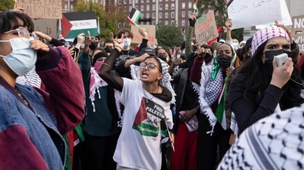 Демонстрация сторонников Палестины в Нью-Йорке