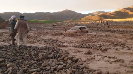 تخریب 10 هکتار مزرعه در سیلاب‌های اخیر افغانستان