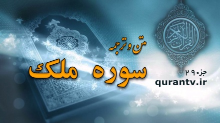  Quran Quest (428)