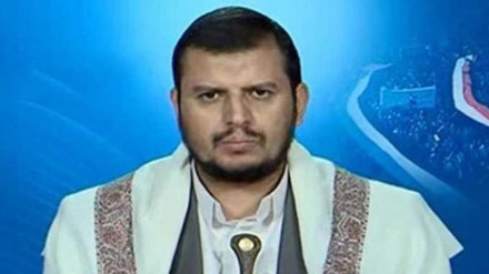 החות'ים: ארה