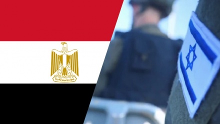 埃及司法机构继续开展审查和驱逐以色列军官的活动