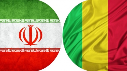 Помощь Ирана стране Мали в подготовке кадров в области искусственного интеллекта