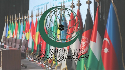 Organizata e Bashkëpunimit Islamik kërkon njohjen e shtetit të pavarur të Palestinës