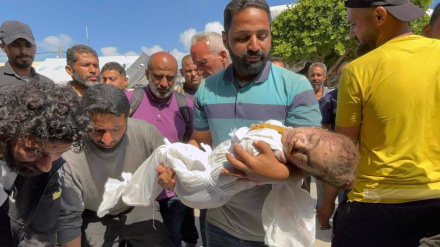 ইন্টারনেটের সংযোগ দিতে গিয়ে কয়েক ডজন ফিলিস্তিনি হতাহত