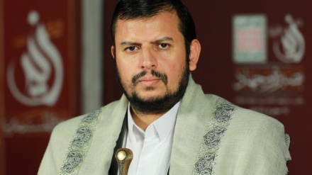 رهبر مقاومت یمن: رسوایی غرب حامی حقوق حیوانات را در ماجرای نسل کشی فلسطین ببینید