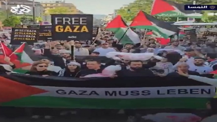 Աշխարհի տարբեր քաղաքներում
շարունակվում են Պաղեստինի կողմնակիցների ցույցերը